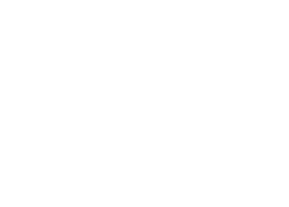 New York Times logo