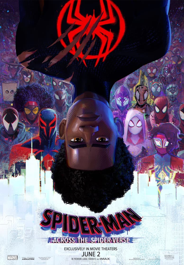 Poster for project