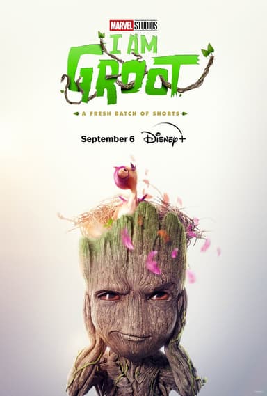 Project poster