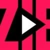 Logo of NLZIET