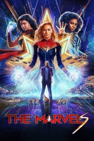 Project poster