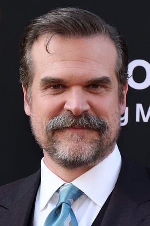 Image of David Harbour