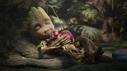 Image of episode Are You My Groot?