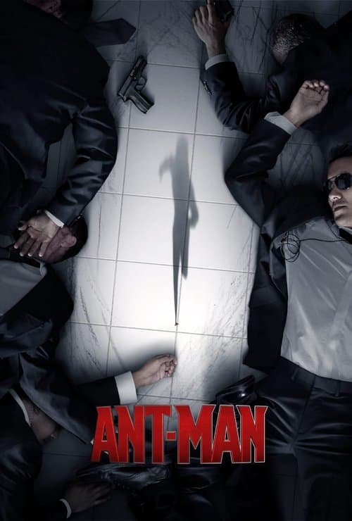 Poster for project