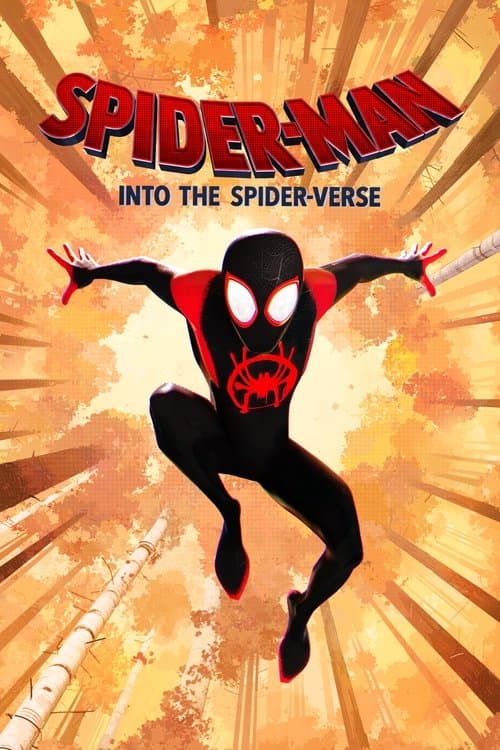 Poster for project