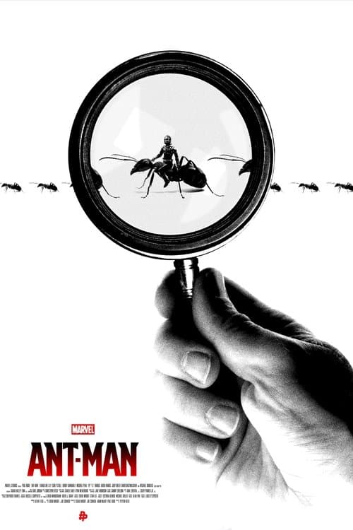 Poster for project