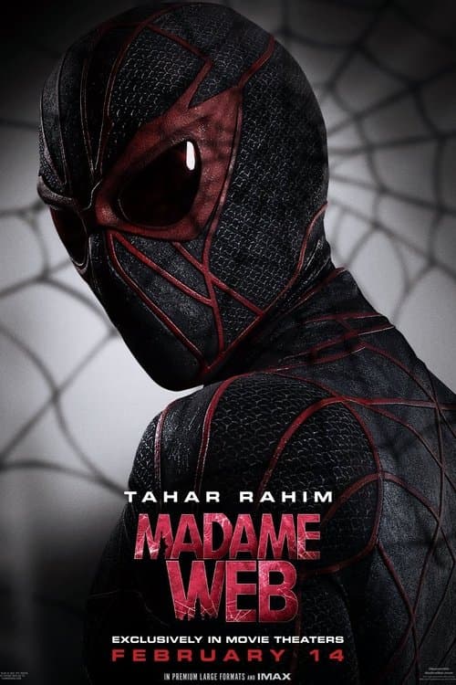 Poster for project