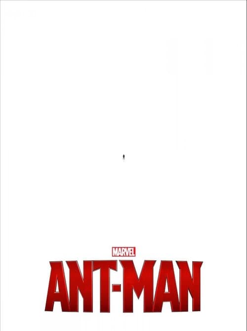 Poster for project