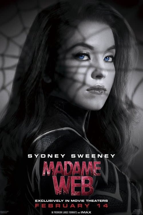 Poster for project