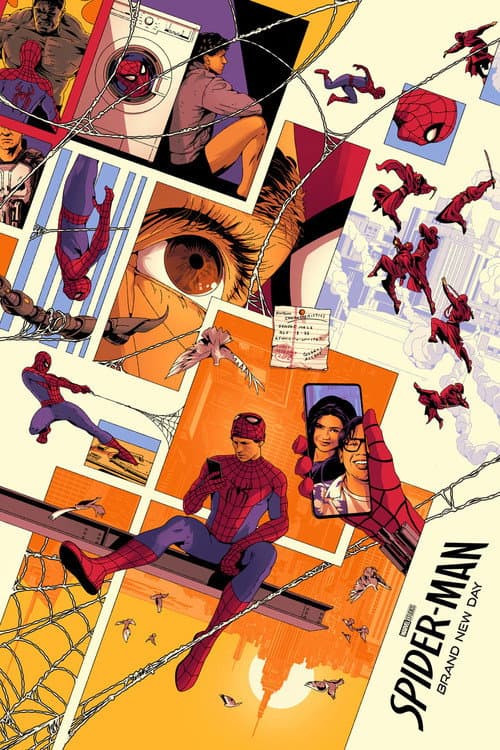 Poster for project
