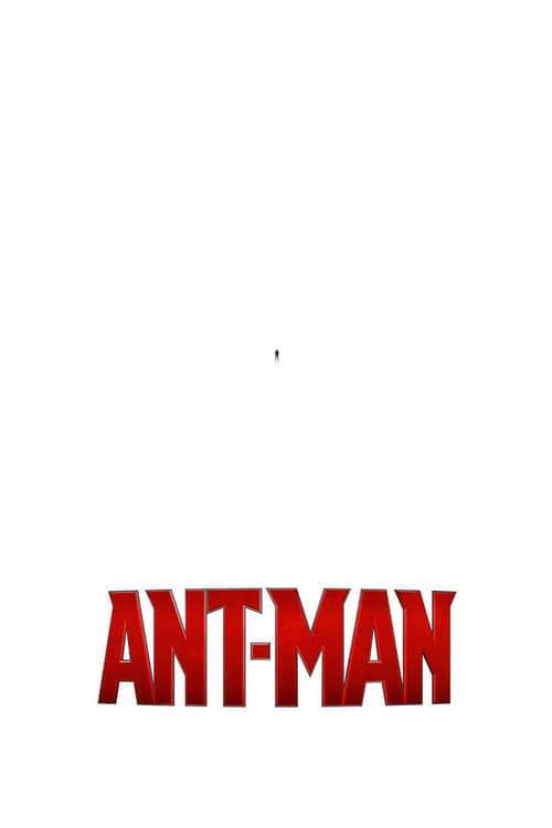 Poster for project