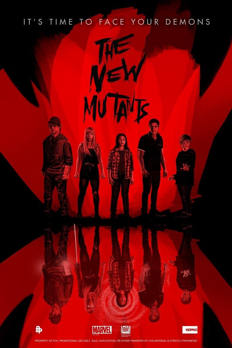 Poster for project