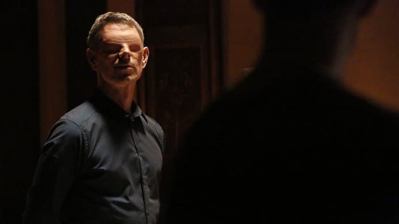 Image of episode Afterlife
