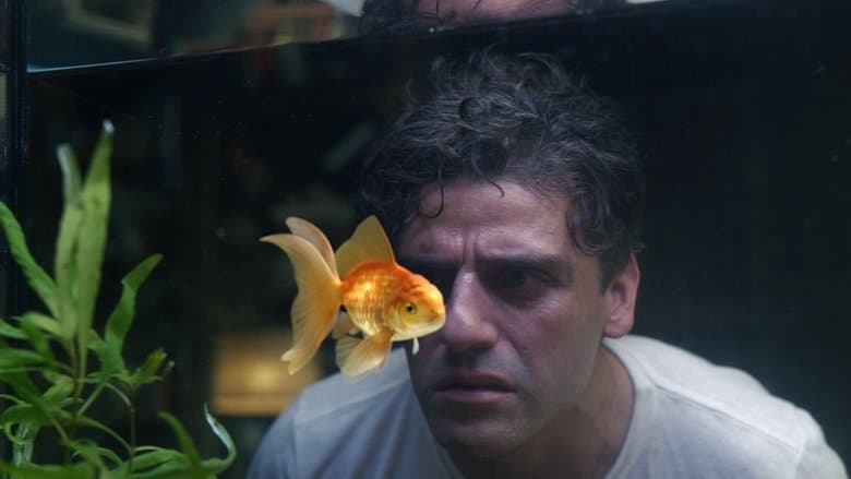 Image of episode The Goldfish Problem