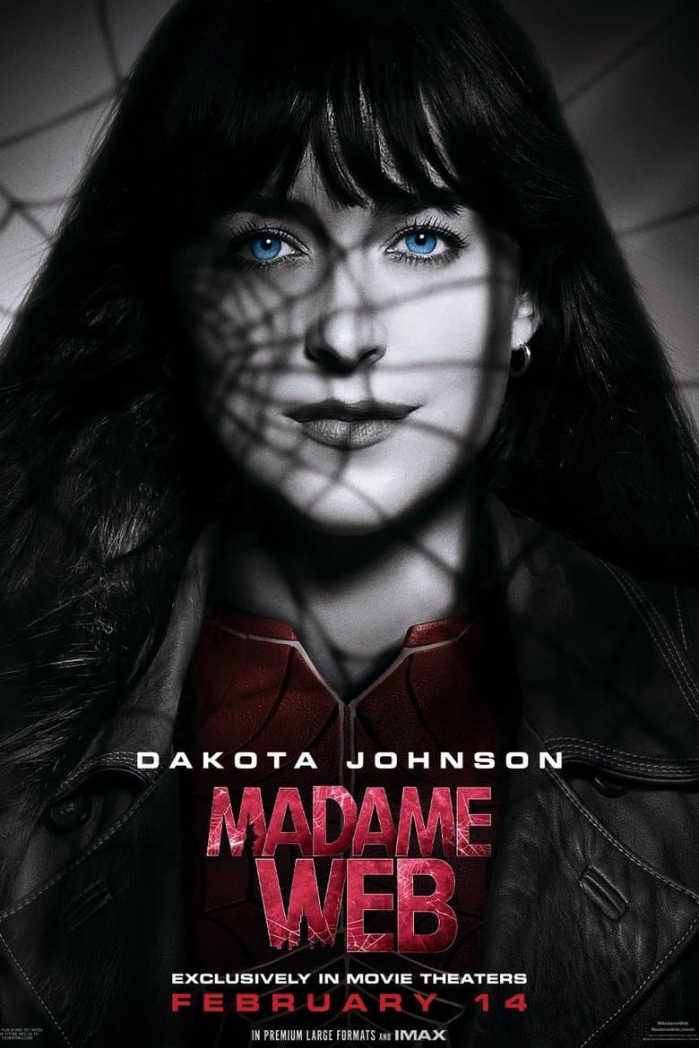 Poster for project