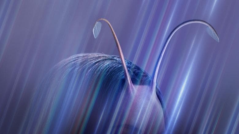 Image of episode Mantis