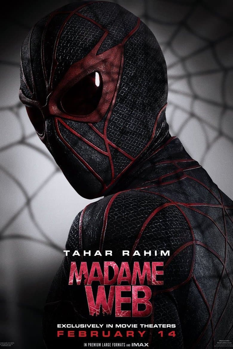 Poster for project