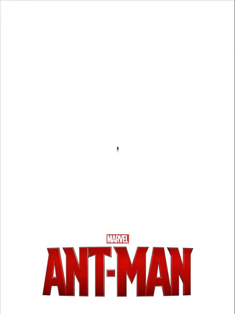 Poster for project