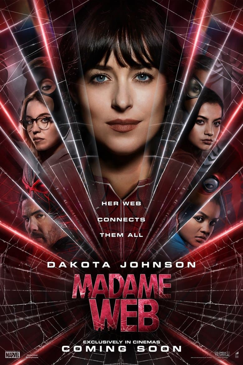 Poster for project