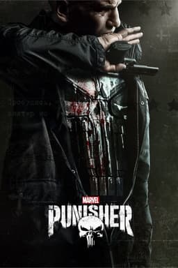 Project poster